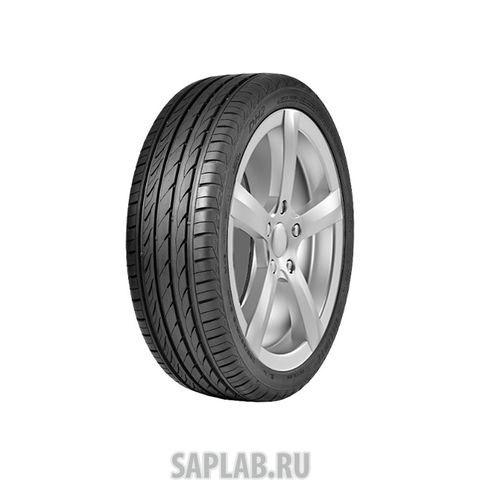 Купить DELINTE 6901532201719 Шины Delinte DH2 215/50 R17 95W