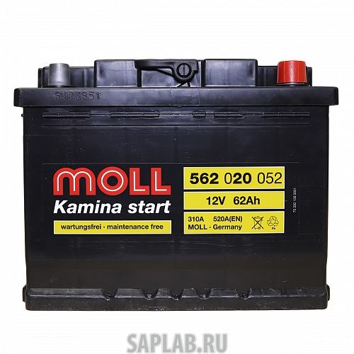 Купить MOLL 562020051 Аккумулятор MOLL Kamina Start 62R 520A 242x175x190 562020051